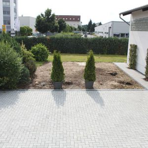 1. Da soll der Pool hin. (2).jpg